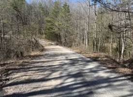 2.00+/-acres Wooded Creek frontage