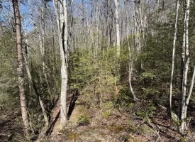 2.00+/-acres Wooded Creek frontage