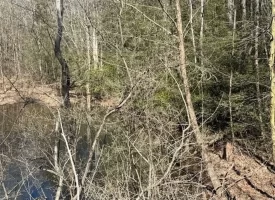 2.00+/-acres Wooded Creek frontage