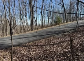 0.85+/-acre wooded tract in Graysville TN