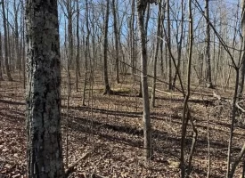 0.85+/-acre wooded tract in Graysville TN
