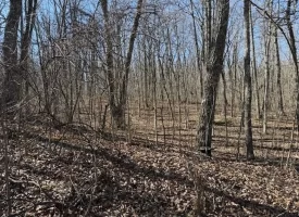 0.85+/-acre wooded tract in Graysville TN