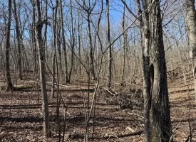0.85+/-acre wooded tract in Graysville TN