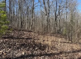 0.88+/-acres wooded lot near Graysville Tn