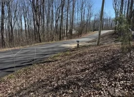 0.88+/-acres wooded lot near Graysville Tn