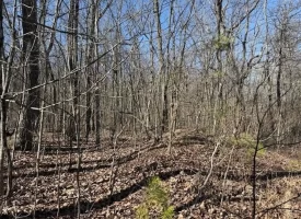 0.88+/-acres wooded lot near Graysville Tn