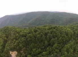 An exceptional opportunity awaits with 1016.06+/-acres of pristine East Tennessee mountain land