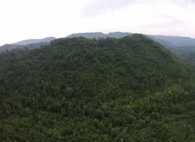 An exceptional opportunity awaits with 1016.06+/-acres of pristine East Tennessee mountain land
