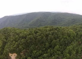 An exceptional opportunity awaits with 1016.06+/-acres of pristine East Tennessee mountain land