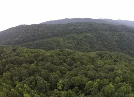 An exceptional opportunity awaits with 1016.06+/-acres of pristine East Tennessee mountain land