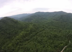 An exceptional opportunity awaits with 1016.06+/-acres of pristine East Tennessee mountain land