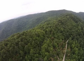 An exceptional opportunity awaits with 1016.06+/-acres of pristine East Tennessee mountain land