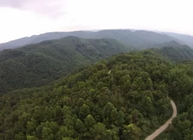 An exceptional opportunity awaits with 1016.06+/-acres of pristine East Tennessee mountain land