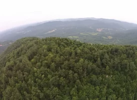 An exceptional opportunity awaits with 1016.06+/-acres of pristine East Tennessee mountain land