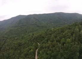 An exceptional opportunity awaits with 1016.06+/-acres of pristine East Tennessee mountain land