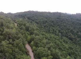 An exceptional opportunity awaits with 1016.06+/-acres of pristine East Tennessee mountain land