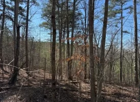 New construction nestled on 5 acres overlooking beautiful Sherwood Valley.