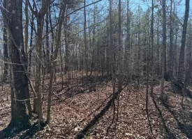 New construction nestled on 5 acres overlooking beautiful Sherwood Valley.