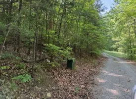 132.84+/-acres, with Rustic Hunting cabin that offers the ultimate private retreat in the mountains of Pikeville TN