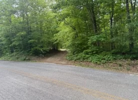 132.84+/-acres, with Rustic Hunting cabin that offers the ultimate private retreat in the mountains of Pikeville TN