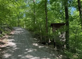 132.84+/-acres, with Rustic Hunting cabin that offers the ultimate private retreat in the mountains of Pikeville TN