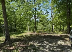 132.84+/-acres, with Rustic Hunting cabin that offers the ultimate private retreat in the mountains of Pikeville TN