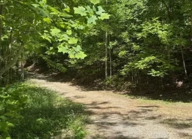 132.84+/-acres, with Rustic Hunting cabin that offers the ultimate private retreat in the mountains of Pikeville TN