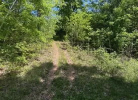 132.84+/-acres, with Rustic Hunting cabin that offers the ultimate private retreat in the mountains of Pikeville TN