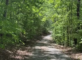 132.84+/-acres, with Rustic Hunting cabin that offers the ultimate private retreat in the mountains of Pikeville TN