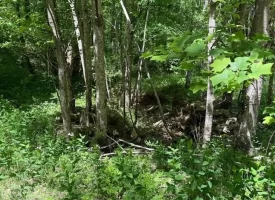 132.84+/-acres, with Rustic Hunting cabin that offers the ultimate private retreat in the mountains of Pikeville TN