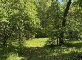 132.84+/-acres, with Rustic Hunting cabin that offers the ultimate private retreat in the mountains of Pikeville TN