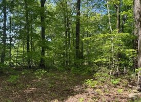 132.84+/-acres, with Rustic Hunting cabin that offers the ultimate private retreat in the mountains of Pikeville TN