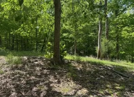 132.84+/-acres, with Rustic Hunting cabin that offers the ultimate private retreat in the mountains of Pikeville TN