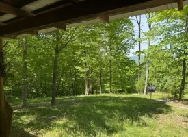 132.84+/-acres, with Rustic Hunting cabin that offers the ultimate private retreat in the mountains of Pikeville TN
