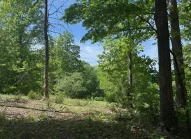 132.84+/-acres, with Rustic Hunting cabin that offers the ultimate private retreat in the mountains of Pikeville TN