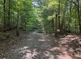 132.84+/-acres, with Rustic Hunting cabin that offers the ultimate private retreat in the mountains of Pikeville TN