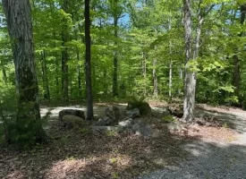 132.84+/-acres, with Rustic Hunting cabin that offers the ultimate private retreat in the mountains of Pikeville TN