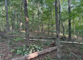Discover the potential of this beautiful 13.49+/-acre tract in Beersheba Springs, TN.