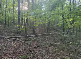 Discover the potential of this beautiful 13.49+/-acre tract in Beersheba Springs, TN.