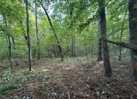 Discover the potential of this beautiful 13.49+/-acre tract in Beersheba Springs, TN.