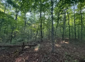Discover the potential of this beautiful 13.49+/-acre tract in Beersheba Springs, TN.