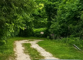 Discover the potential of this beautiful 13.49+/-acre tract in Beersheba Springs, TN.