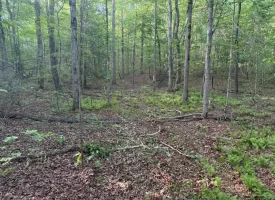 Discover the potential of this beautiful 13.49+/-acre tract in Beersheba Springs, TN.