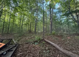 Discover the potential of this beautiful 13.49+/-acre tract in Beersheba Springs, TN.