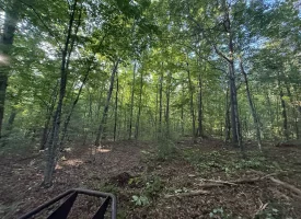 Discover the potential of this beautiful 13.49+/-acre tract in Beersheba Springs, TN.