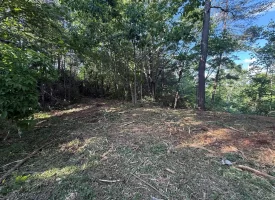 Stunning 2.5+/-acre unrestricted property on Middle Ridge Road in Beersheba Springs, TN