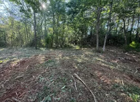 Stunning 2.5+/-acre unrestricted property on Middle Ridge Road in Beersheba Springs, TN