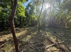 Stunning 2.5+/-acre unrestricted property on Middle Ridge Road in Beersheba Springs, TN