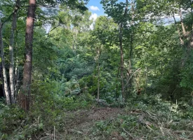 Stunning 2.5+/-acre unrestricted property on Middle Ridge Road in Beersheba Springs, TN