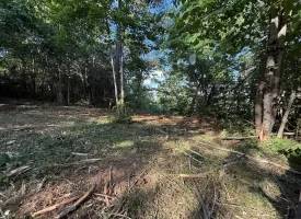 Stunning 2.5+/-acre unrestricted property on Middle Ridge Road in Beersheba Springs, TN